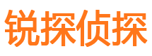 平湖外遇调查取证